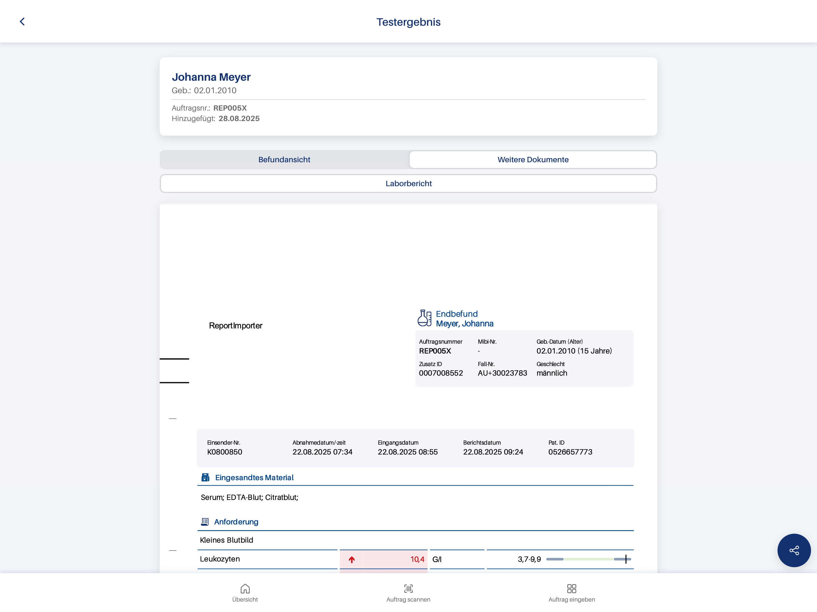 Beispiel Patienten App Endbefund